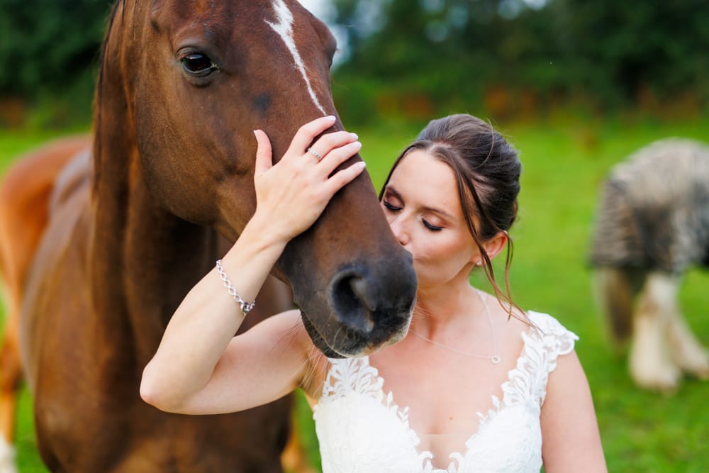bride kissing a horse